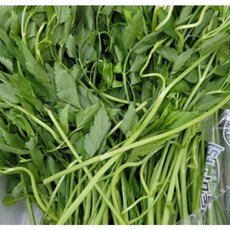 돌 밭 생 세척 손질 나물 제철 뿌리야채 미나리 다이어트녹즙 거머리 싱싱 500g 1kg 1개