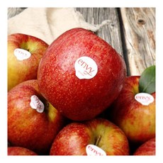 엔비사과-추천-상품