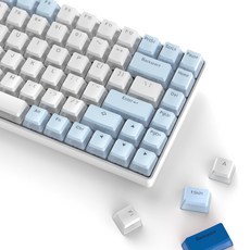 푸딩 키캡 PBT OEM 이중사출 반투명 워미어 키캡 9종 165key