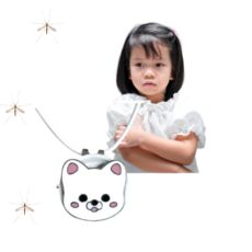 차안모기