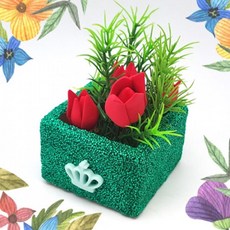 크로스핏1일체험