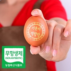 동초란