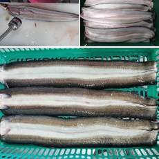 국내산 자포니카 민물장어 1kg-장어구이 장어탕 소금구이