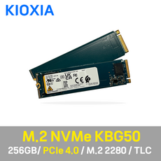 키오시아 KBG50ZNV M.2 NVMe SSD 256GB (벌크), Kioxia KBG50 256GB