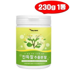 딘토운초