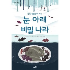 비밀의숲책