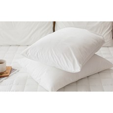 브리즈우드가든 베개커버(성인용/50x70) _베개솜 미포함