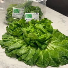 아쿠아포닉스쌈