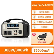 220v 아웃도어 휴대용 대용량 배터리 캠핑 차박 여행 홈 비상전원 정전 인산철, 300W 75000mAh 휴대용
