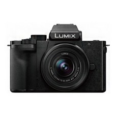 파나소닉 루믹스 LUMIX DC-G100 미러리스 카메라