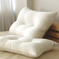 아토앤알로 2+2 알러프레쉬 항균 호텔 경추 베개솜 40x60, 없음