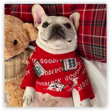 반려동물옷만들기책