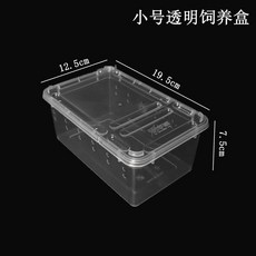 개구리 USMOLA 이끼 거미 reptile 애완용 파충규 뱀을 크레스티드게코사육장, 1개