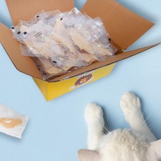 야미야미닭가슴살100개