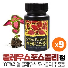 태블릿포스