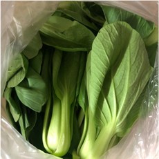 국내산 청경채 야채 청경채국산 채소 청경체채소 청경체 마라탕 샤브샤브 샤브샤브용채소 샤브용채소 청경채샤브 국내산청경채 탕찌개 탕 찌개 찌개용 국물요리 제철채소 신선야채, 1개