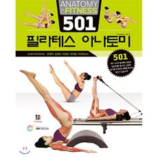 501필라테스아나토미