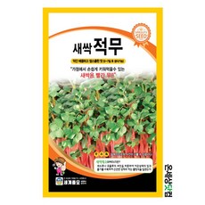 새싹 적무 500g / 새싹씨앗 새싹키우기 수경재배 적무씨앗 적무씨, 1개