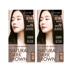 다나한 모 칼라크림 한방 새치염색약, 2개, N4 자연흑갈색