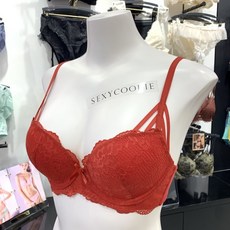 섹시쿠키브라