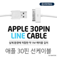 아이폰30핀젠더