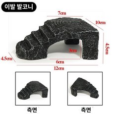 육지 거북이 반수생거북이 거북이키우기 쉼터 은신처, 삼각 트럼펫으로 거북이 사료를 배달하다.