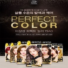 미쟝센살롱10염색약