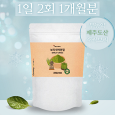 제주 농축 새싹보리 착즙 휴대용 통 국산 벌크 대용량 가능 어린잎 노지 100개 개입 홈쇼핑 보리새싹 추출 라떼 파우더 분말 barley grass extract 파우치 순위