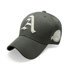 폴인박스가리개