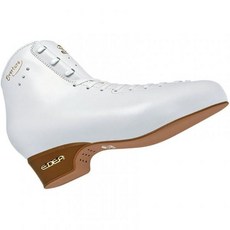 서곡 피규어 스케이트 이디아