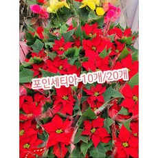 타이포그래피천일야화