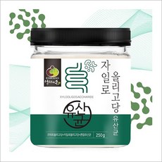 엄마애손 장내 환경개선 건강한 단맛 혼합유산균 19종함유 자일로올리고당유산균 250g, 1개