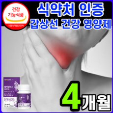  [고함량 고용량] 식약처 인정 요오드 갑상선 에 좋은 호르몬 건강 기능 저하 영양제 멀티 비타민 티록신 아이오딘 IODINE 아이오다인 아연 셀렌 미국산 + 알 약 케이스, 4개, 120정 
