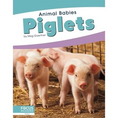 Piglets, Focus Readers