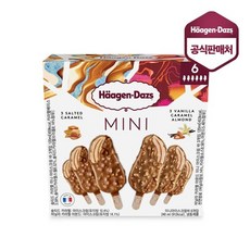 하겐다즈솔티드