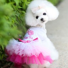6658aaef18463b76c97b76f4a886276c7ccec212c1e28d8de3ab0129adfc.jpg