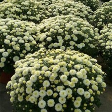 b6fee5cc8c4e6e0945abd66e7b12c74e07321d1e6dc349b796862021a9d4.jpg
