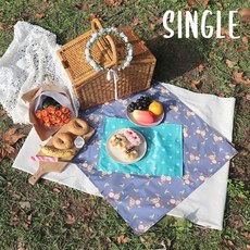 다이노이너시트