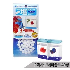//상품명