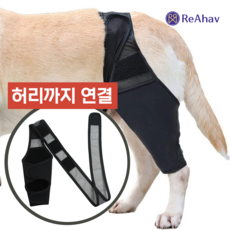 레아하브 모션서포트 강아지 슬개골보호대, 1개, 블랙