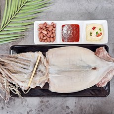 동해반건조오징어