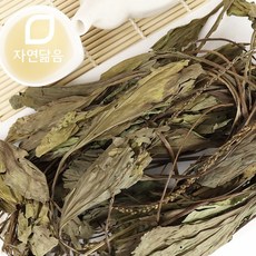 자연닮음 국산 차전초 질경이 200g, 1개