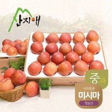 산지애 알뜰 못난이사과(중과) 4.5kg 2box / 당도선별 청송산 미시마, 2개
