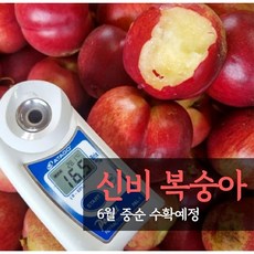 백화점용 당도선별 신비 대극천 황제 복숭아, 1개, 2kg(중대과)