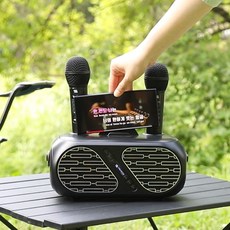 슈틸루스터 무선 가정용 노래방 기계 엠프 블루투스 스피커 듀얼 마이크 ST-DM110