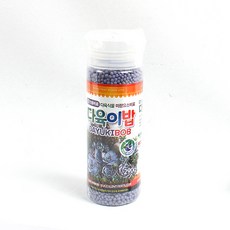 가볍고불량한비거닝