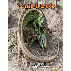 Sand Lizard Facts: SAND LIZARD fact for girl age 1-10 SAND LIZARD fact for boy age 1-10 facts about ... Paperback, Independently Published, English, 9798566373942