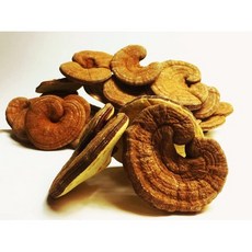 6. 버섯의 이시하라 산업 국산 오쿠미카와 영지 500g(100g×5) 직매 가격 B01M1RB0QJ, 원 컬러_원 사이즈, 원 컬러_원 사이즈, 상세 설명 참조0
