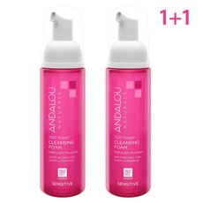 andalou 1+1 천연 약산성 폼클렌징 5.5 PH 2팩 순정 안달로우 1000 로우즈네츄럴 폼 클렌징 건성피부 클렌징폼 순한클렌져 클렌징폼 Andalou Naturals, 2개, 163ml