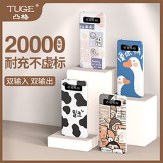 대용량 고속 충전 노트북 휴대폰 보조배터리 보조 배터리 200_137, 10 규격판[10000밀리암페어] 구미 일러